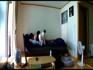 家庭网络摄像头被黑TP大白天新婚不久的年轻夫妻激情啪啪娇妻身材太性感了被搞的销魂淫叫一对狗狗观战 ！