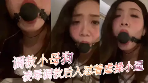 调教小母狗，凌辱调教后入怼着虐操小逼