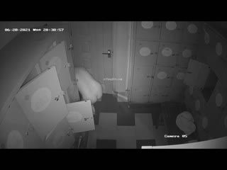 《稀缺摄像头》黑客破解高端游泳会所更衣室，精选高颜值美女换泳衣