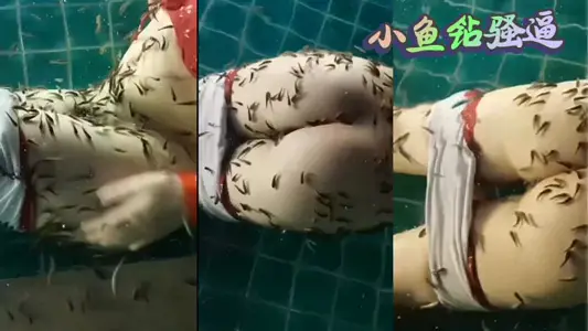 小鱼钻骚逼