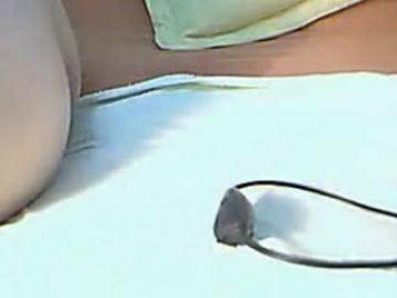 【国产】-野台子-脱衣舞-偷拍的!