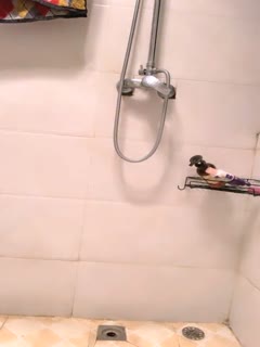 苗条娇小面容姣好的黑丝小姐姐 刺激撕开黑丝又是内射又是口爆还射在美背上《下篇》