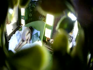 精品小旅馆绿叶房偷拍身材苗条的一对大学生情侣翘课开房啪啪 !