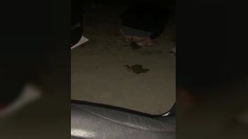 《字母圈顶级大神☀️极限调教阴环骚母狗》震撼全网露脸反差婊体验各种虐阴虐肛玩法花样多，吃屎喝尿啪啪生殖器各种操作(6)第01集