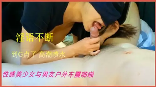 gc女友骚闺蜜被带到野外车震