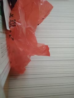 #直播 丰满G奶小姐姐